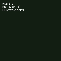 #121E12 - Hunter Green Color Image